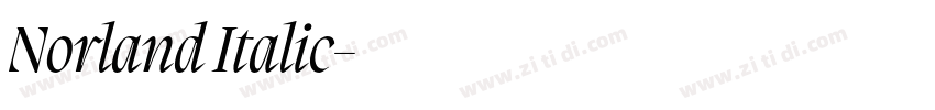 Norland Italic字体转换